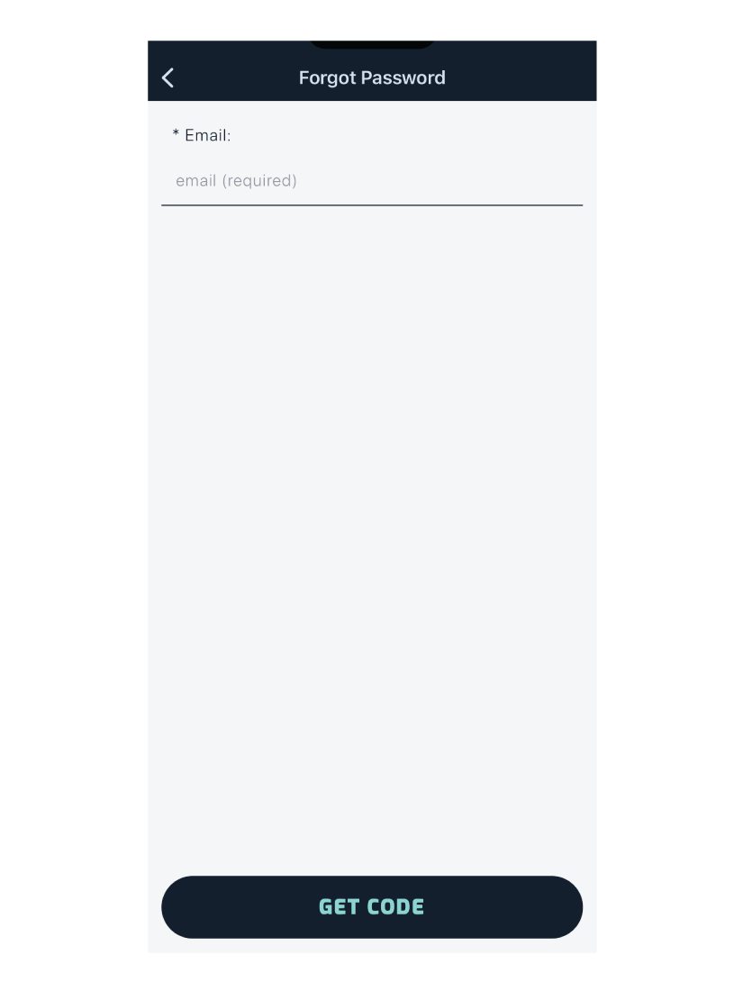 forgot password email
