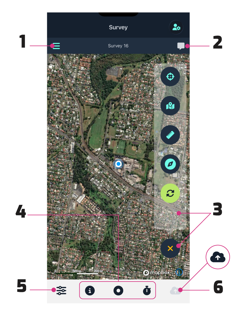 survey map view