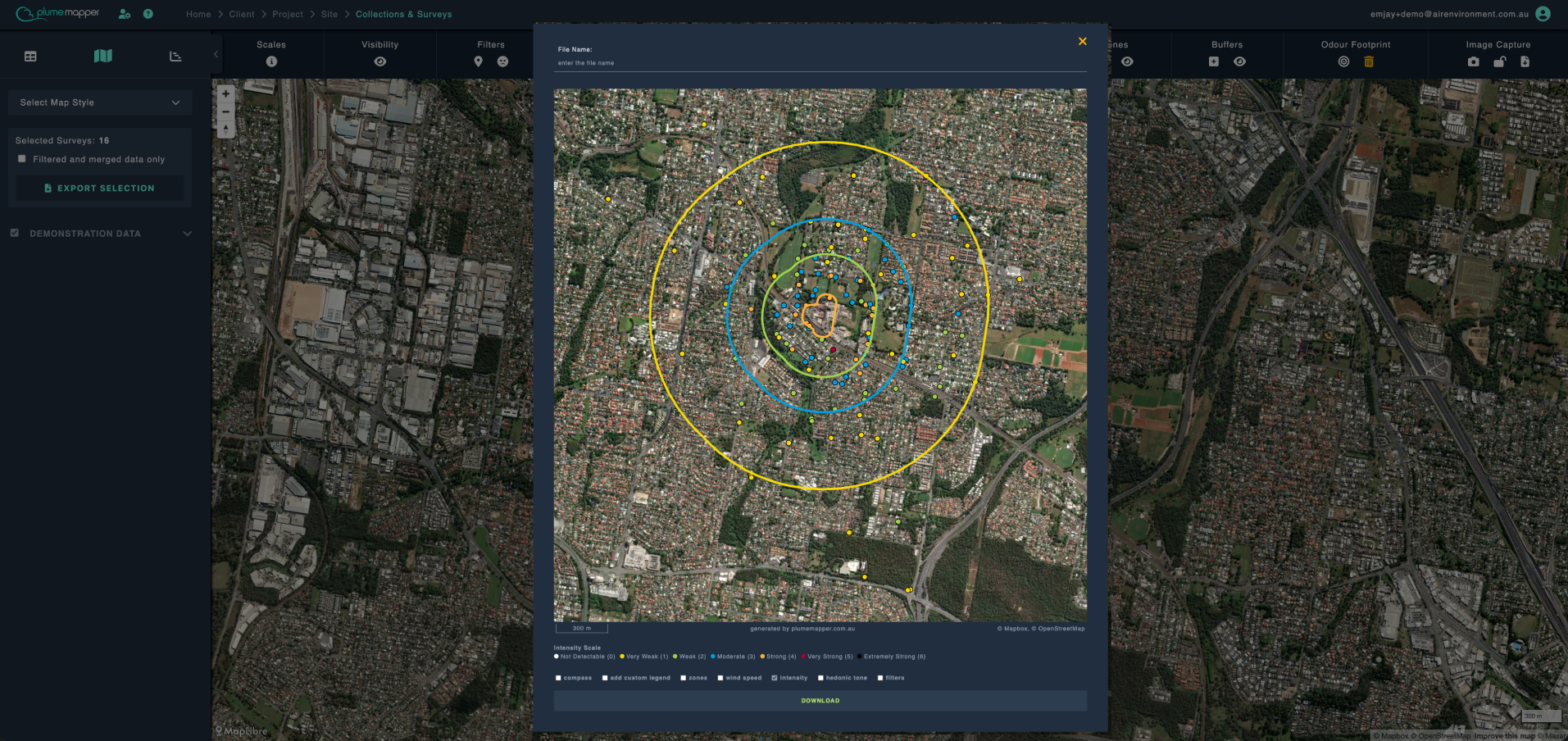image capture: initial display